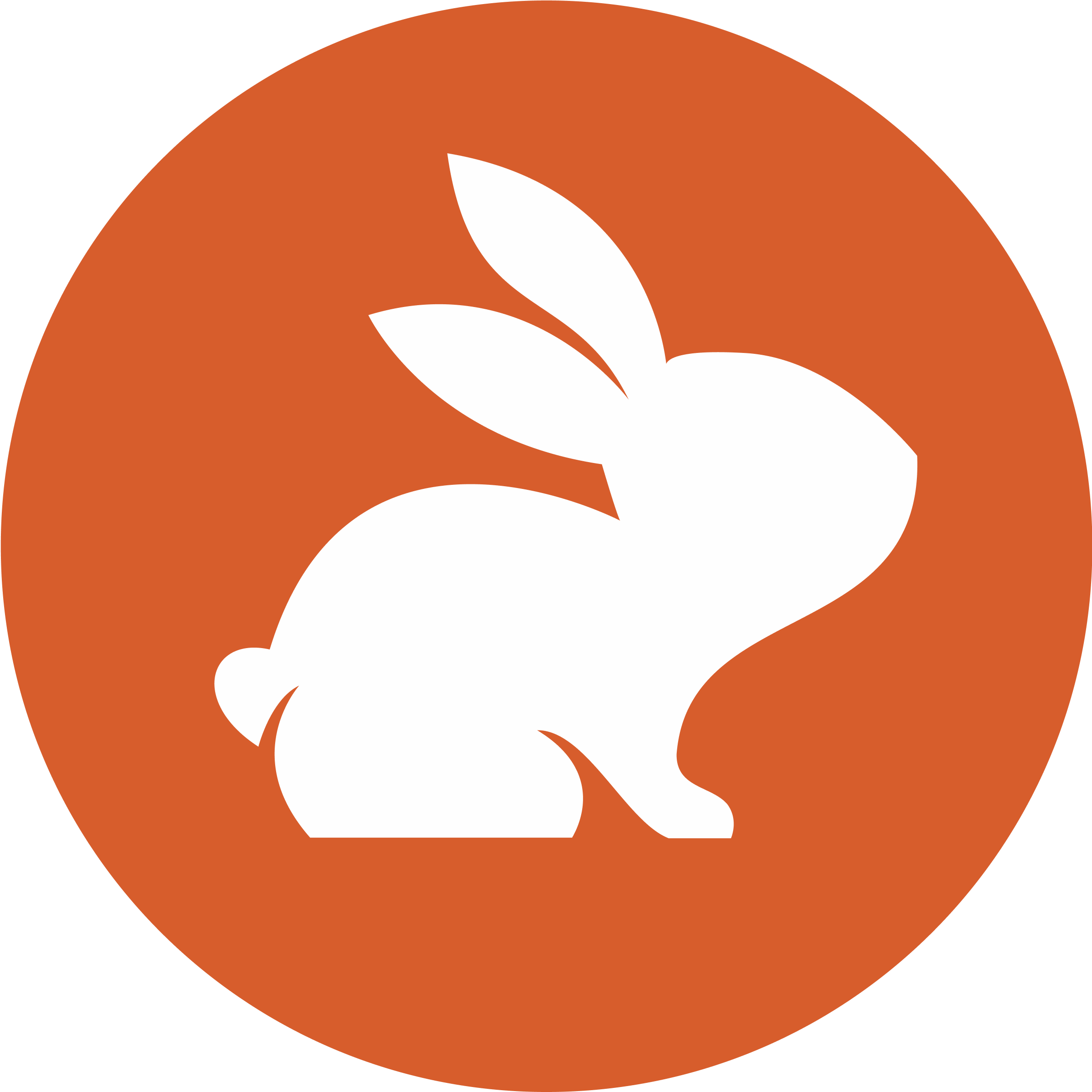 CodeRabbit